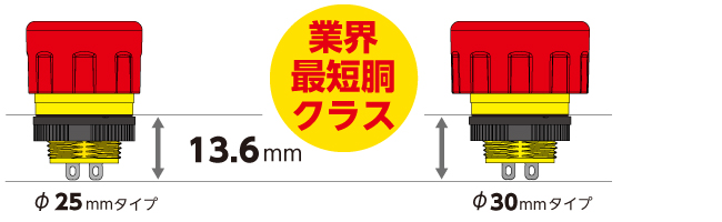 短胴の図